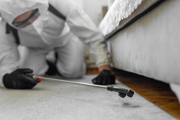Professional Fumigation Services technician working in Frenchtown, NJ