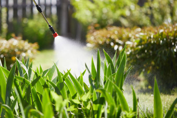 24/7 Emergency Fumigation Services experts in Frenchtown, NJ