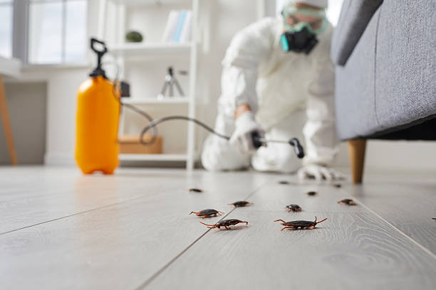 Trusted Fumigation Services service in Frenchtown, NJ - Nex Pest Control