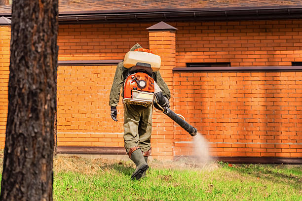 Trusted Bed Bug Control service in Frenchtown, NJ - Nex Pest Control